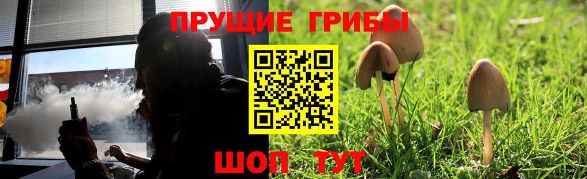 Галлюциногенные грибы прущие грибы Комсомольск-на-Амуре